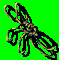 IBOW19B_Sequence_0000_Frame_0000.png